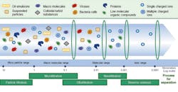 P24 Figure 1 600x311 P24 Figure 1 600x311