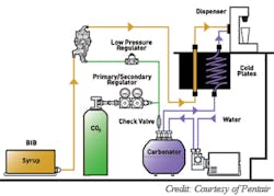 Bib Illustration Bib Illustration