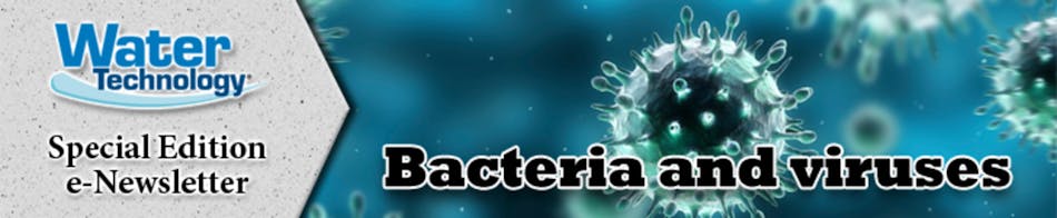 Bacteria And Viruses 728x150