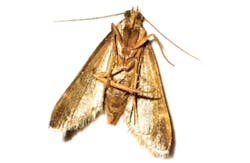 3604-contaminant-chlorate_360x235.jpg 3604-contaminant-chlorate_360x235.jpg