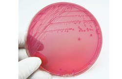 Linde Stewart/Thinkstock Linde Stewart/Thinkstock