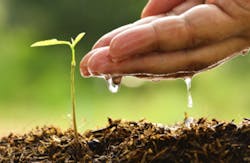 Singkham/Essentials/iStock Singkham/Essentials/iStock