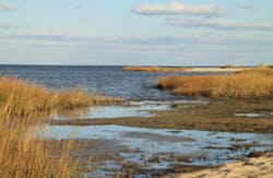 BayRunner/iStock BayRunner/iStock