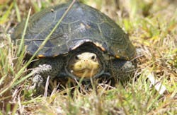 ArendTrent/iStock ArendTrent/iStock