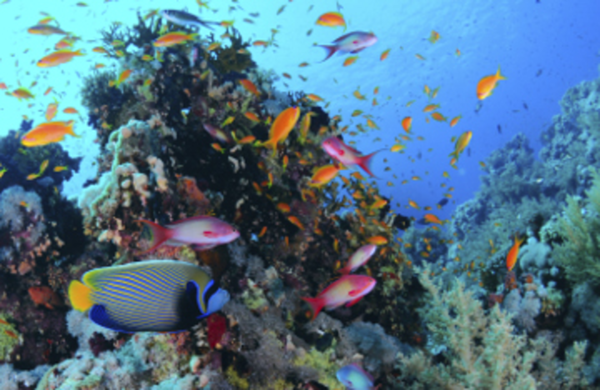 adokon/iStock/Thinkstock