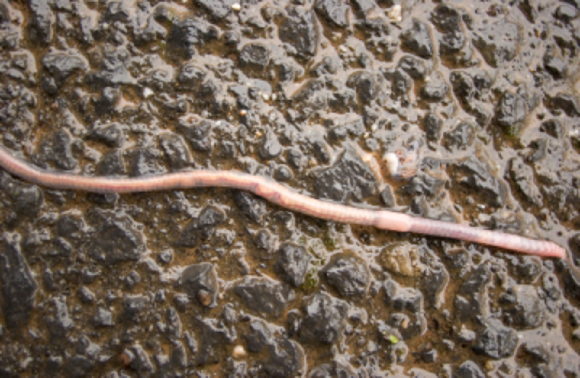 Water Supply Contamination MatthewPalmer/iStockPhoto/ThinkStock