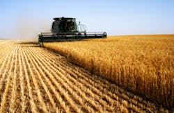 agriculture agriculture