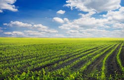 agriculture agriculture