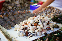 Sea clams on traditional seafood market at Boracay island