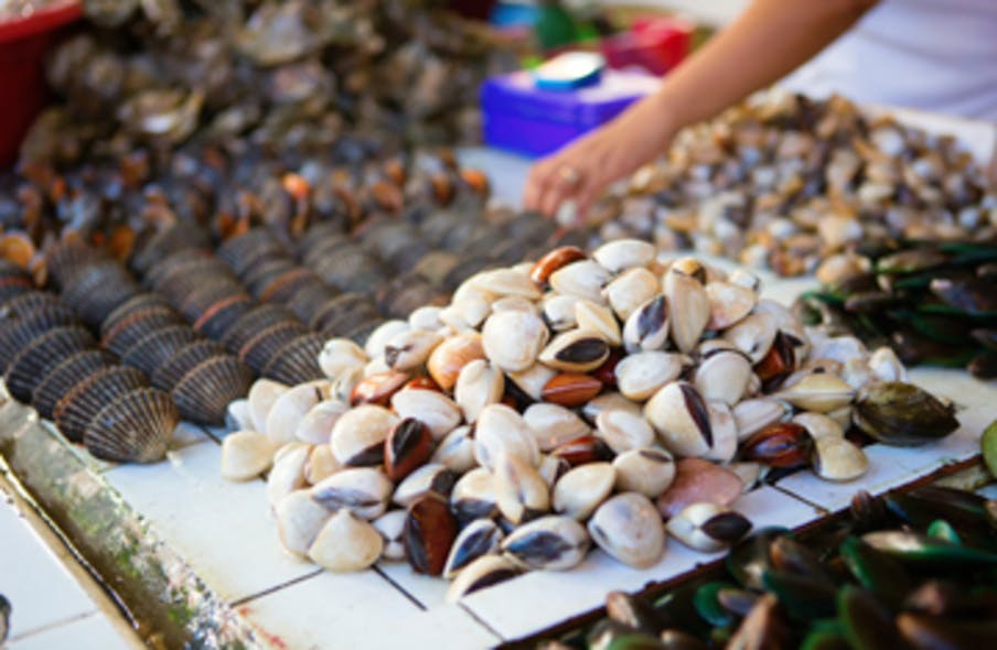 Sea clams on traditional seafood market at Boracay island