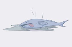 BrianHauge/iStockPhoto/ThinkStock BrianHauge/iStockPhoto/ThinkStock