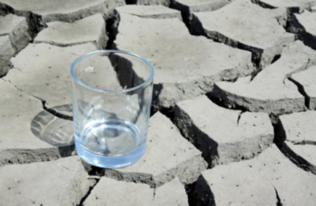 glass in the dry land