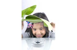 environment; dripping water environment; dripping water