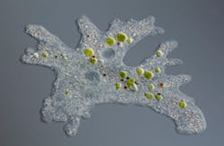 micro_photo/iStockPhoto/ThinkStock micro_photo/iStockPhoto/ThinkStock