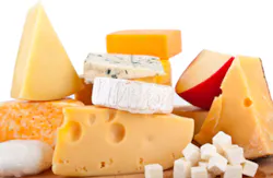 cheese