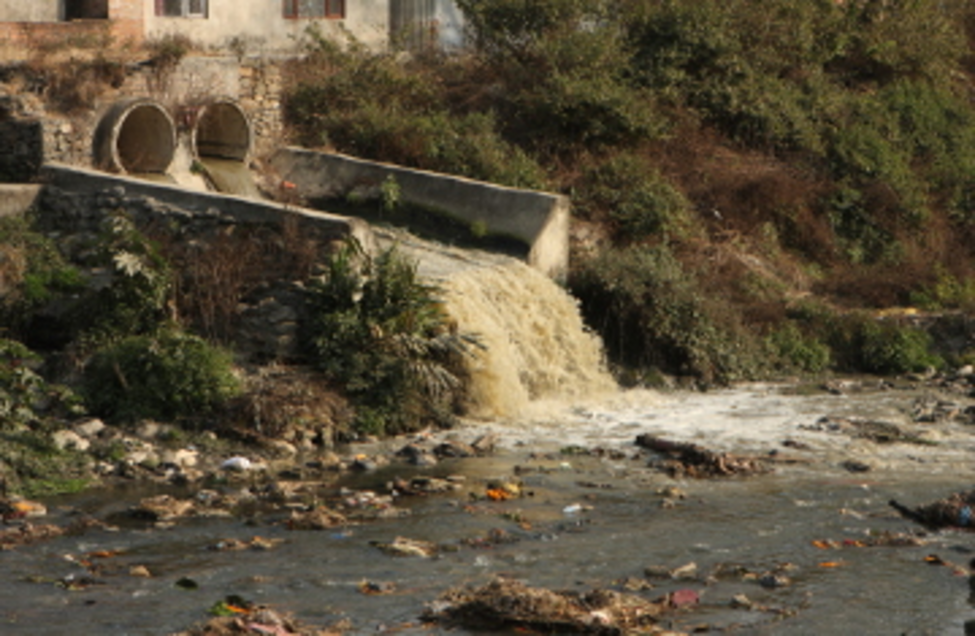 Dmitriy Berkut/iStockPhoto/ThinkStock