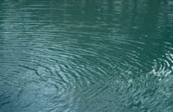 AchimPrill/iStockPhoto/ThinkStock AchimPrill/iStockPhoto/ThinkStock