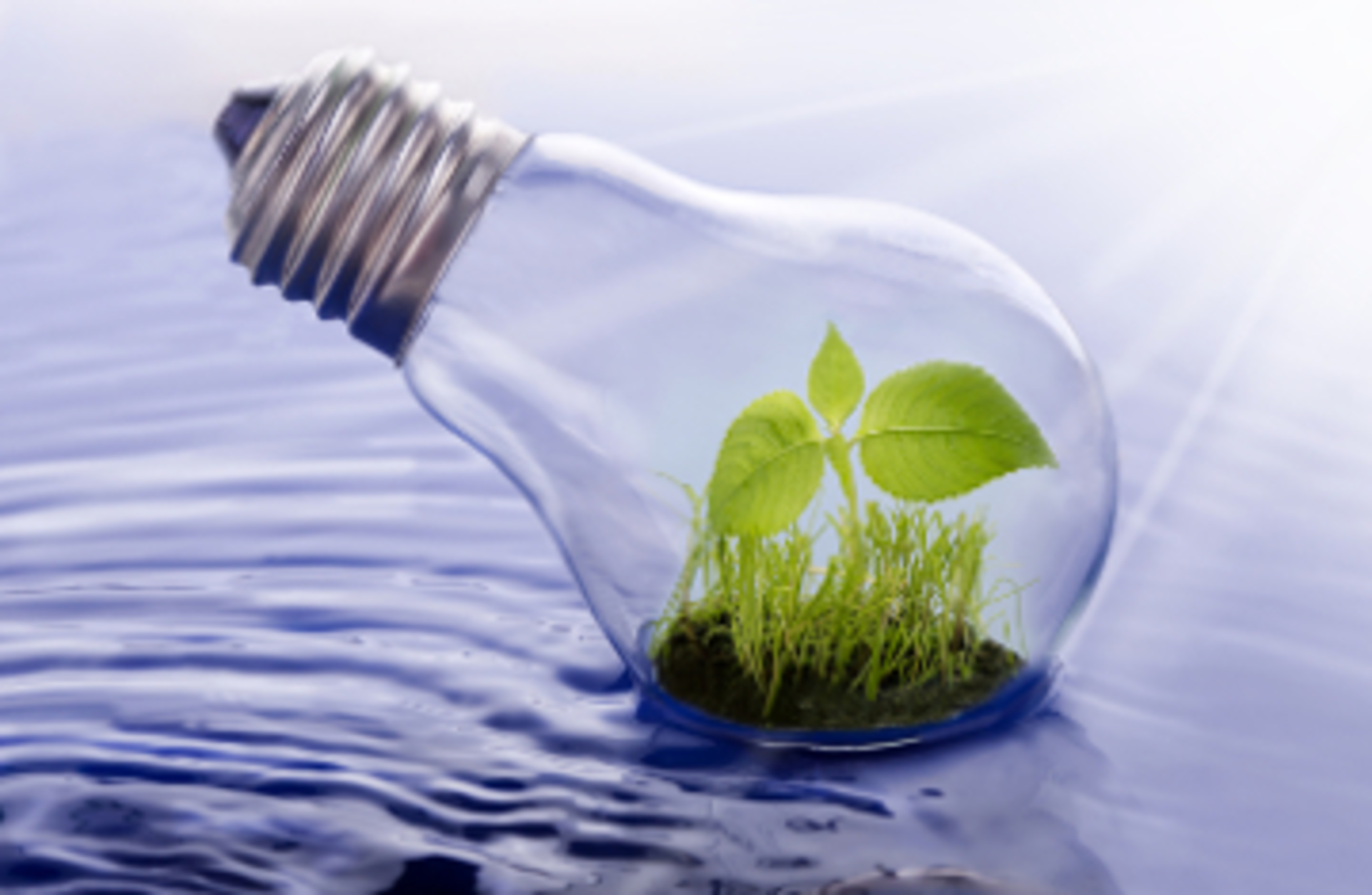 zeljkosantrac/Signature/iStock