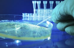 luchschen/Essentials/iStock luchschen/Essentials/iStock