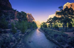 Martin McCarthy/Signature/iStock Martin McCarthy/Signature/iStock