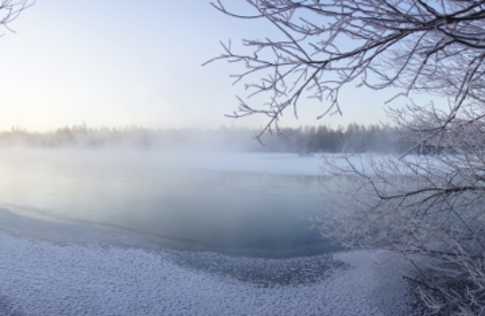 MingmingWang/Essentials/iStock