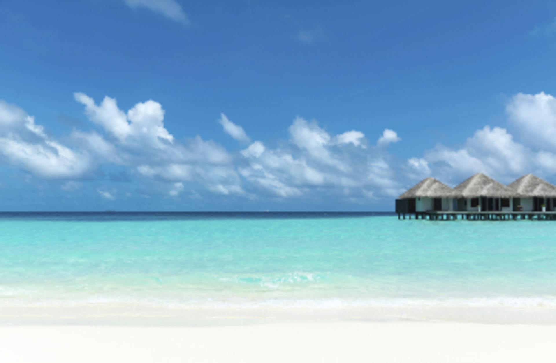 gawriloff/Essentials/iStock