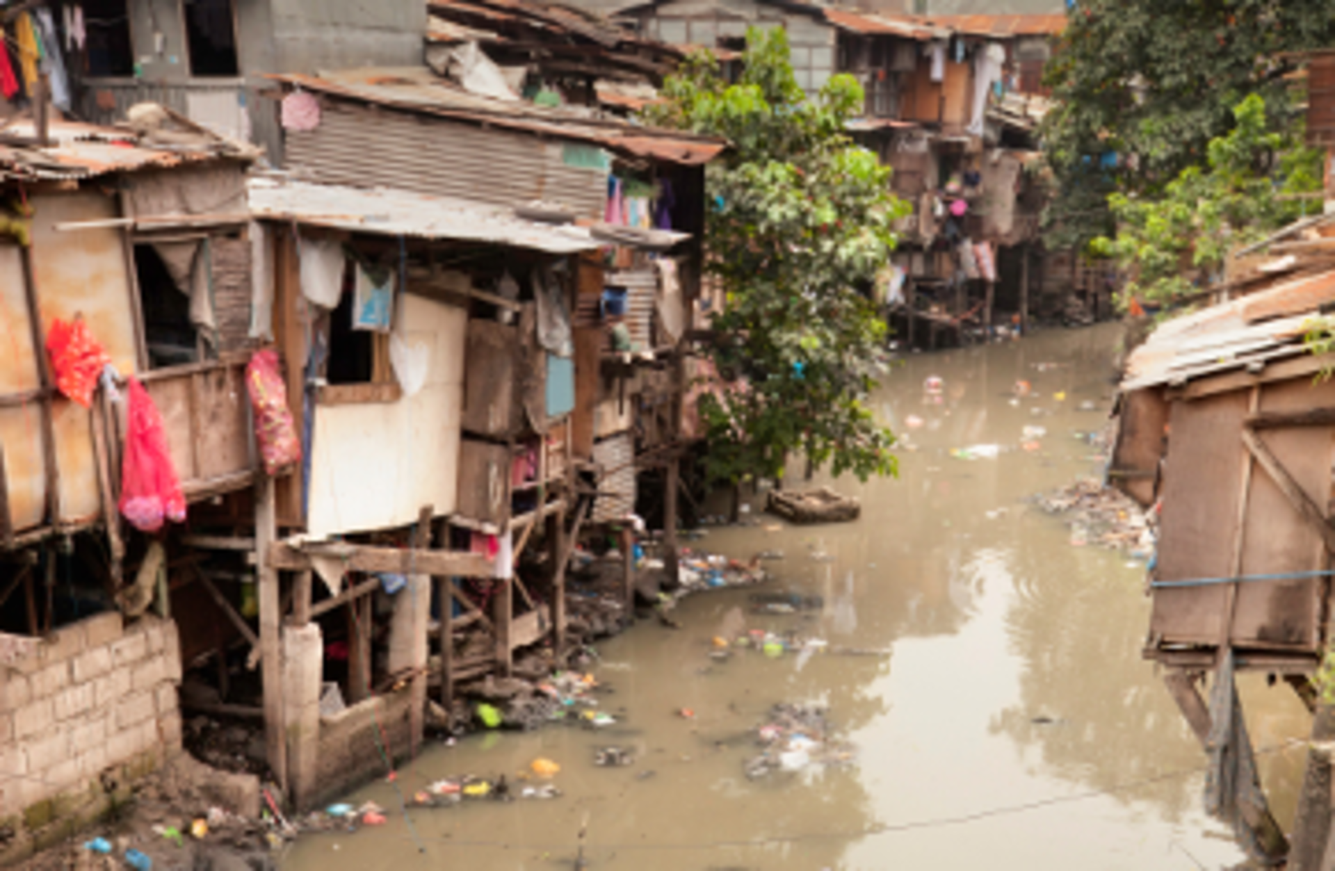 Marcus Lindstrom/Signature/iStock