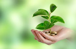 vaeenma/iStock vaeenma/iStock