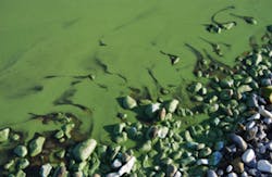 sytilin/iStock sytilin/iStock