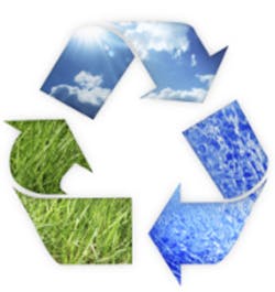 TS_471732477 TS_471732477