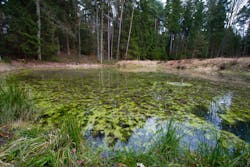 Hopfphotography/iStock Hopfphotography/iStock