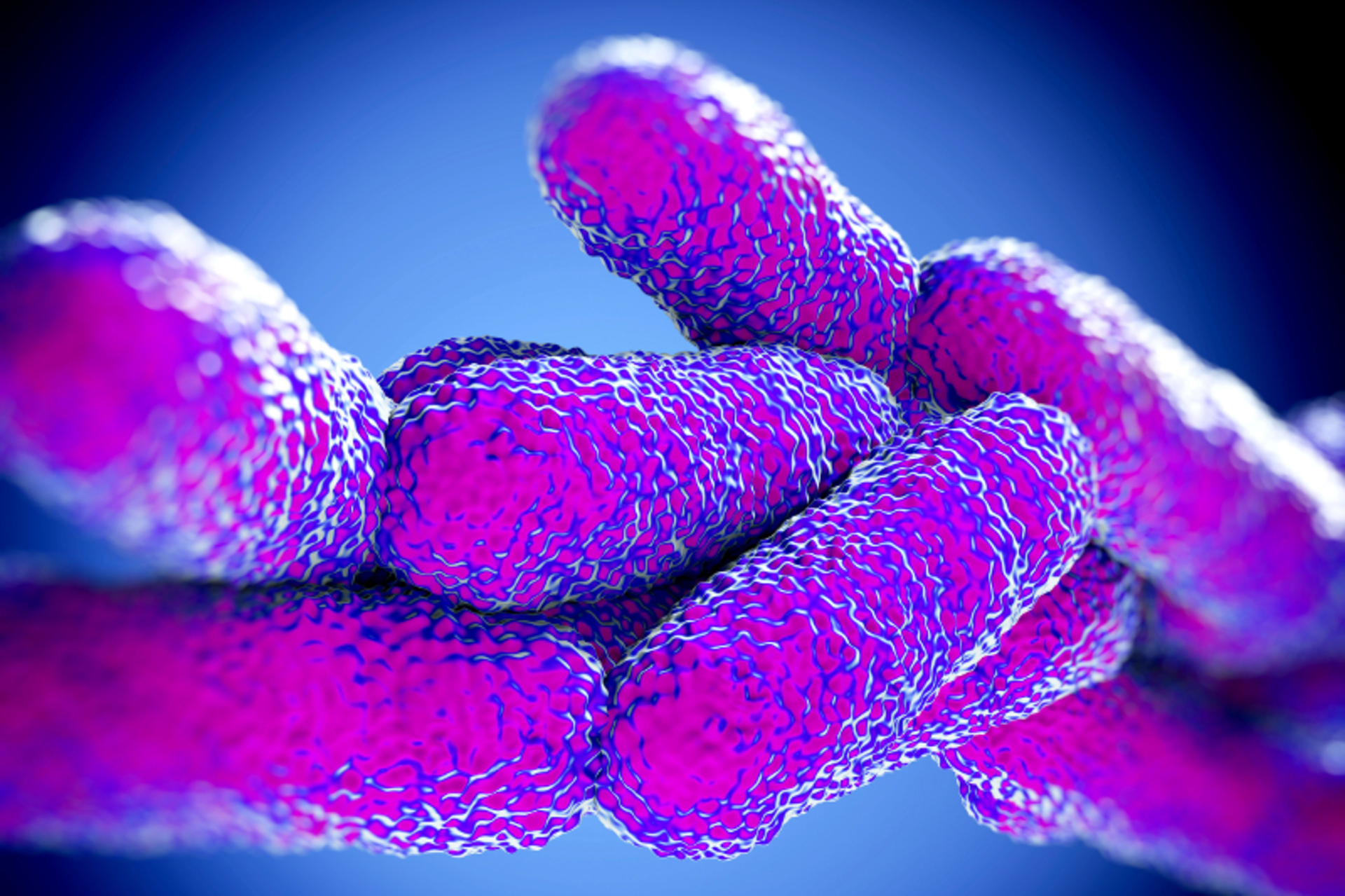 royaltystockphoto/iStock