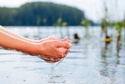 naumoid/iStock naumoid/iStock