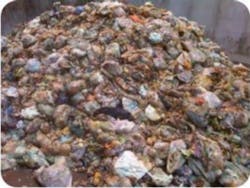 Raw Food Waste Edit 300x225 Raw Food Waste Edit 300x225