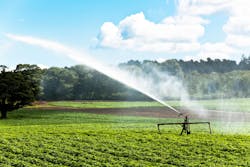 Peter Burnett/iStock Peter Burnett/iStock