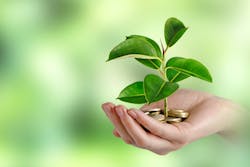 vaeenma/iStock vaeenma/iStock