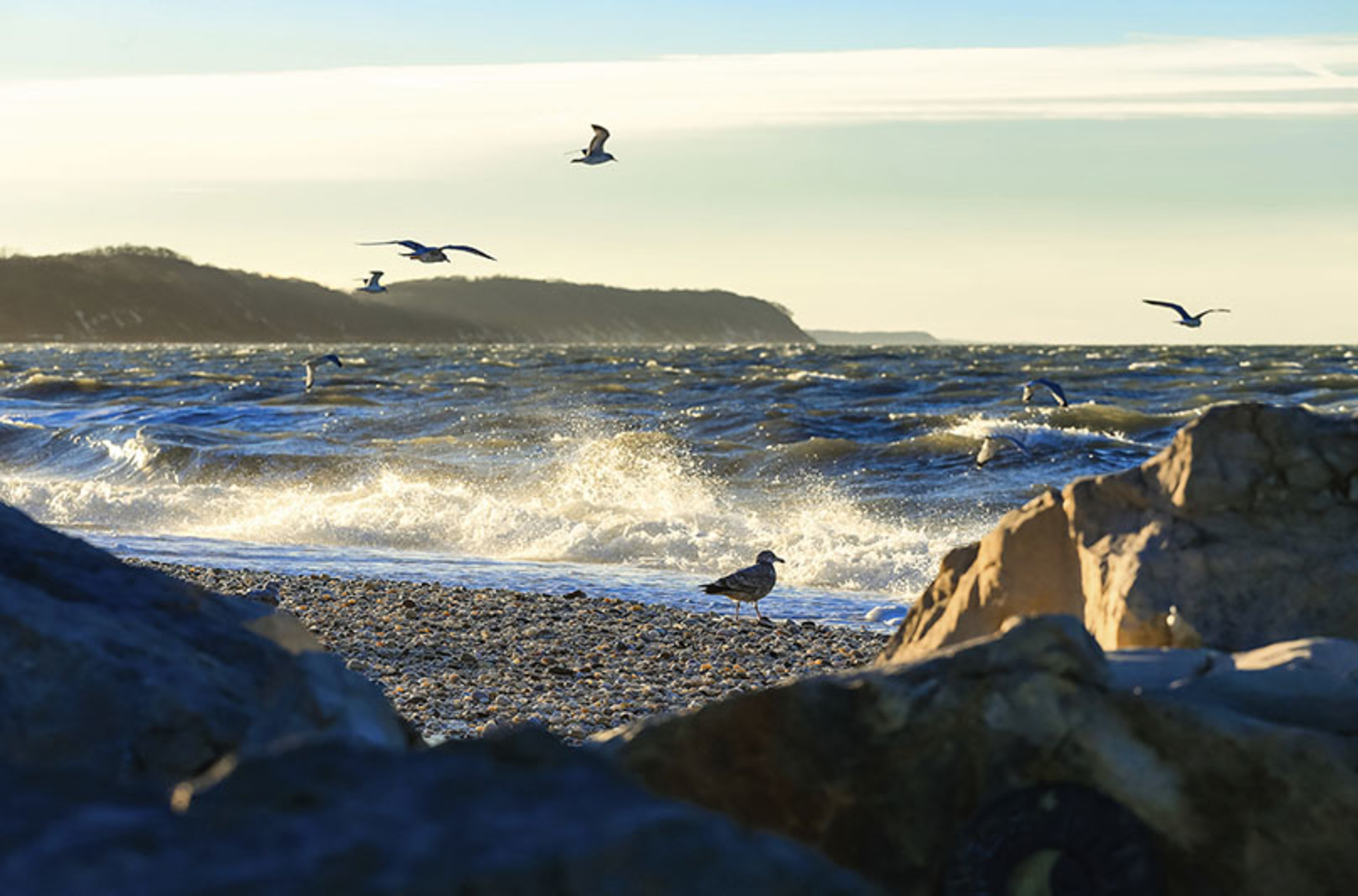 AlisonPerryPhotography/iStock