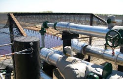 Bird Pit Netting Bird Pit Netting