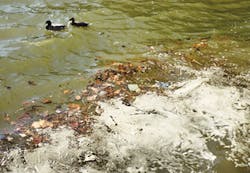 Contaminants Streamslakes 001 3 Contaminants Streamslakes 001 3