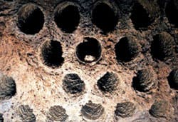 Cooling X1 Cooling X1