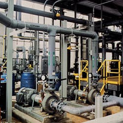 Corzan Cz Plant Corzan Cz Plant