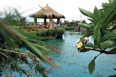 Environmental Park 1301iww