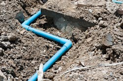 Dragoonphoto Dragoonphoto