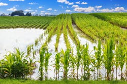 ghornephoto/iStock ghornephoto/iStock