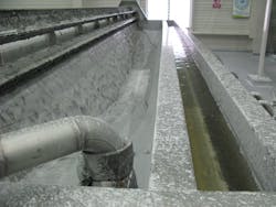 Ovivo Dip Daf Ovivo Dip Daf