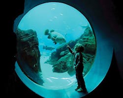 Ozone 2 Boy S Discovery Ozone 2 Boy S Discovery