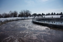 Pennwell web 210 140