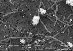 Pennwell web 300 211 Pennwell web 300 211