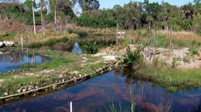 Pennwell web 400 223