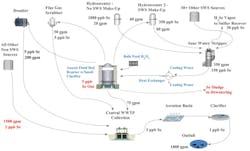 Selenium Fig3a 600px Selenium Fig3a 600px
